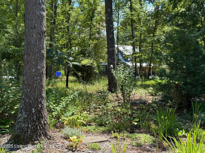 Listing Image 117