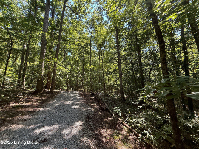 Listing Image 125