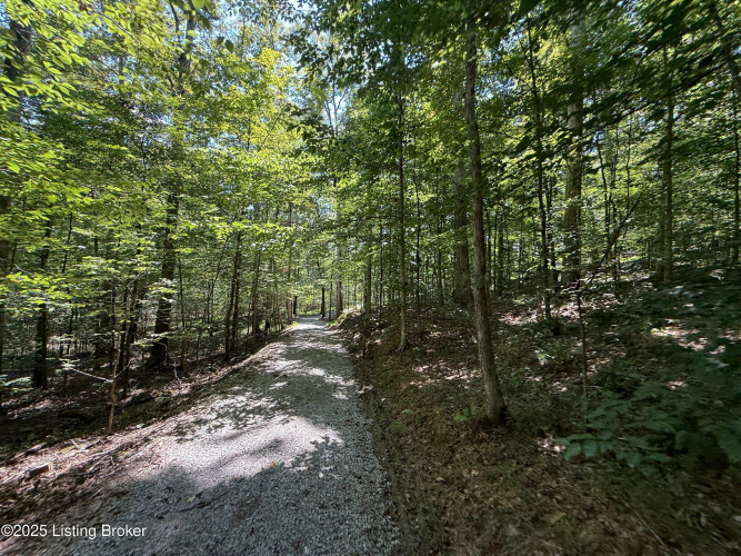 Listing Image 126