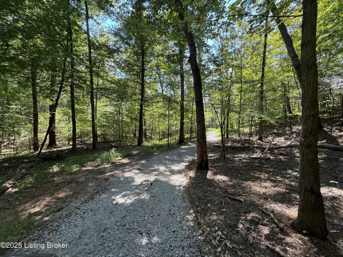 Listing Image 127