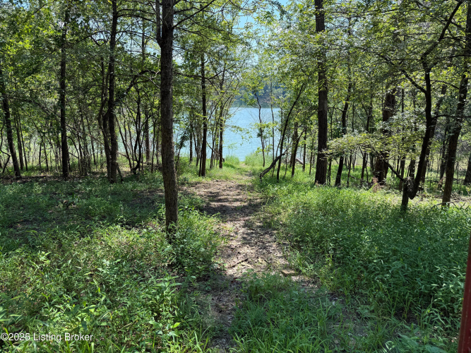 Listing Image 128