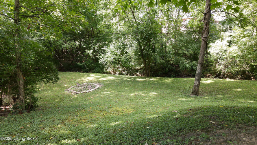 Listing Image 49