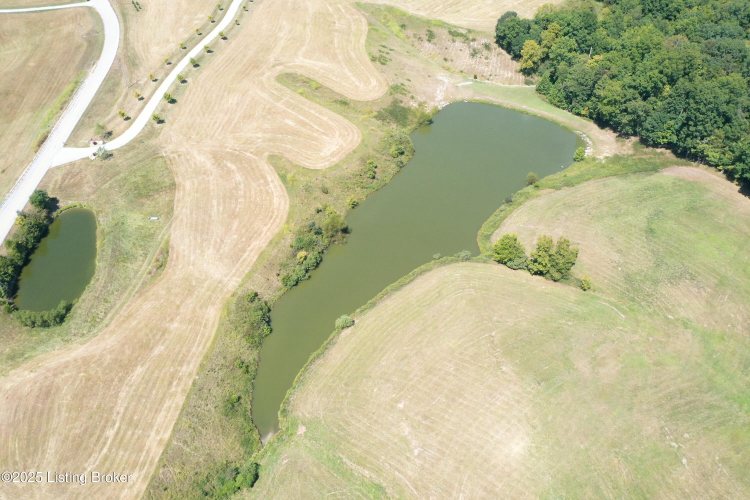 Listing Image 66