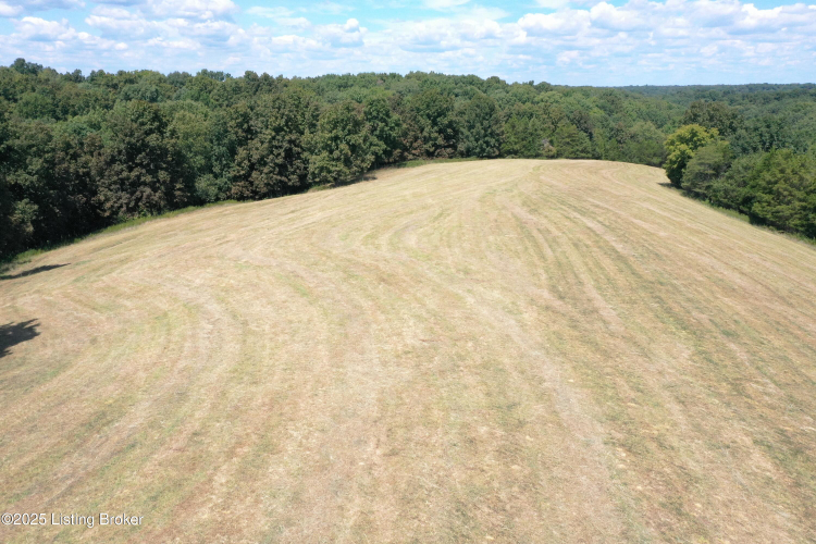 Listing Image 76
