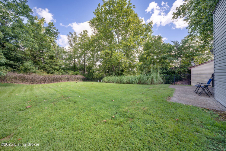 Listing Image 24