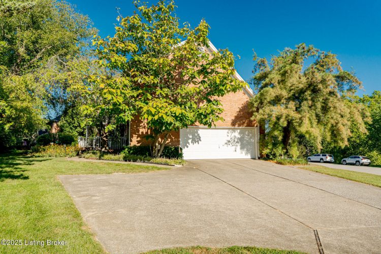Listing Image 74
