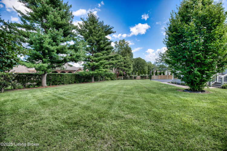 Listing Image 54