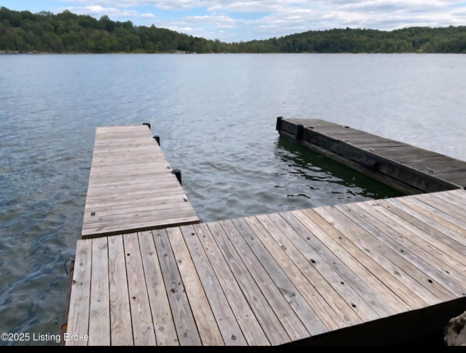 Listing Image 49