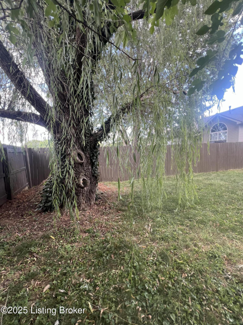 Listing Image 28