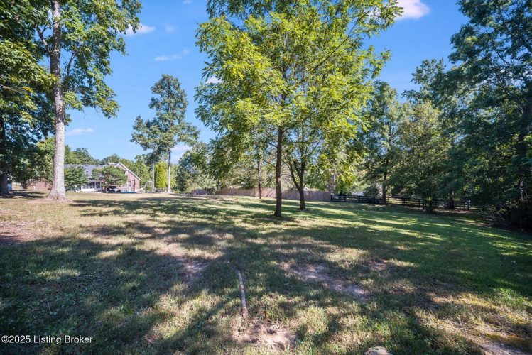 Listing Image 54