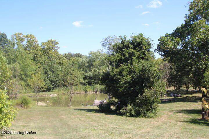Listing Image 62