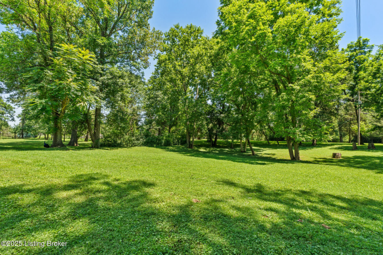Listing Image 90