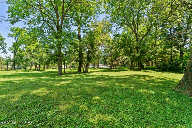 Listing Image 92