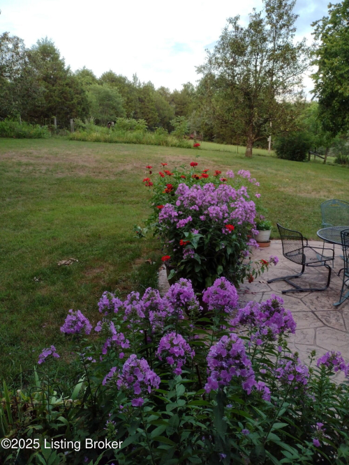 Listing Image 35