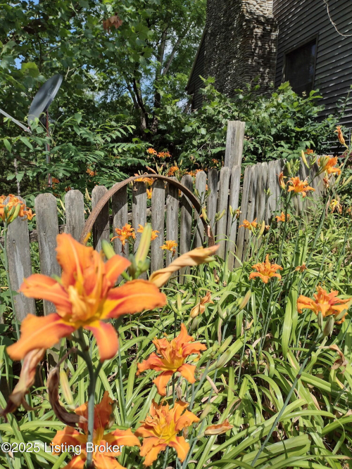 Listing Image 37