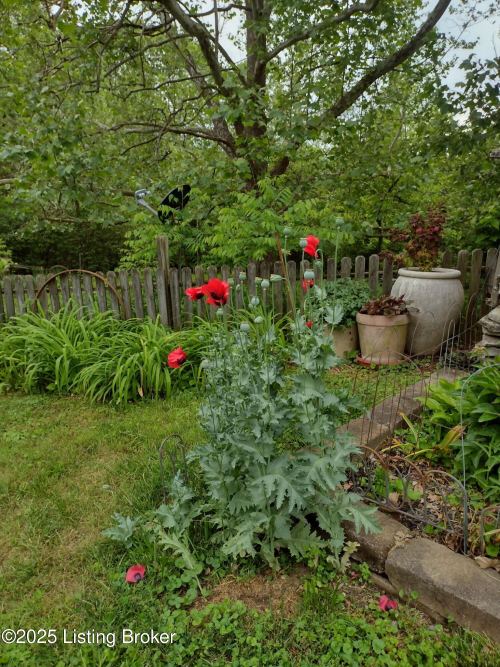 Listing Image 41