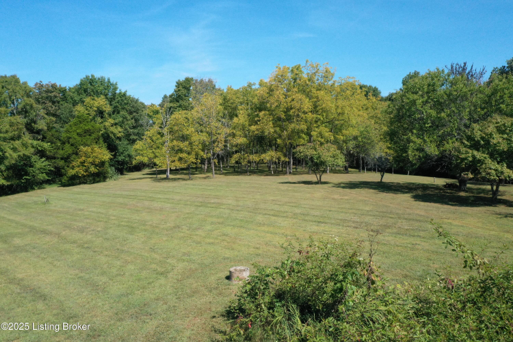 Listing Image 52