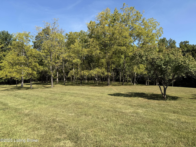 Listing Image 60