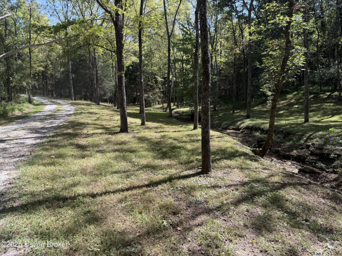 Listing Image 65