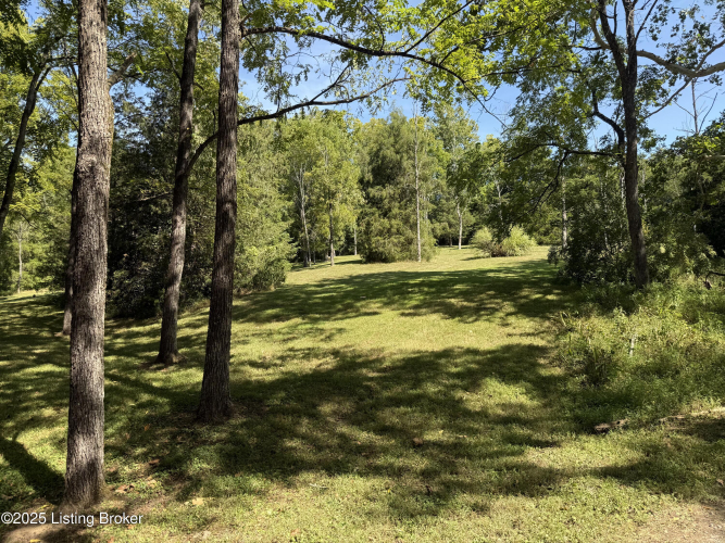 Listing Image 68