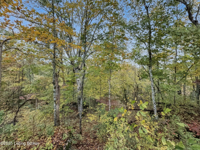 Listing Image 40
