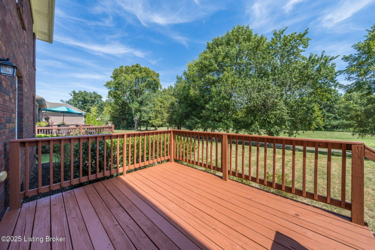 Listing Image 54