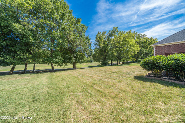 Listing Image 58