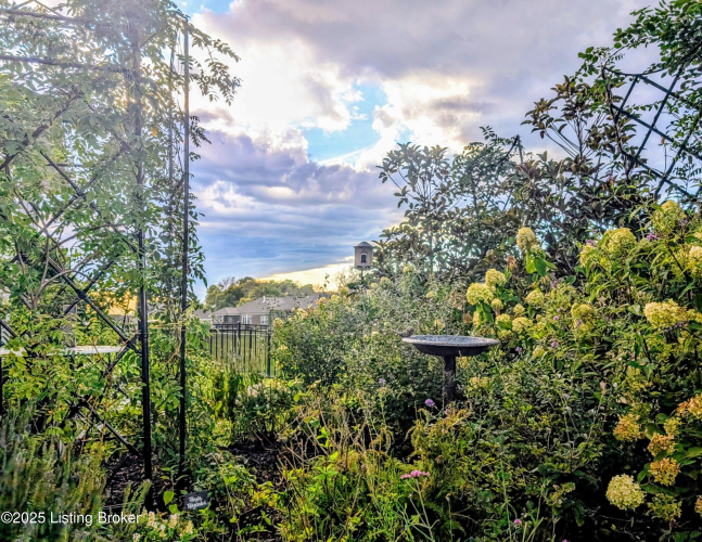 Listing Image 80