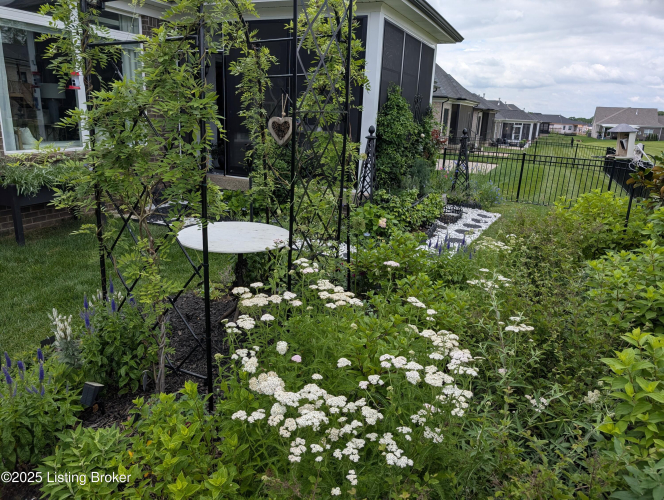 Listing Image 86