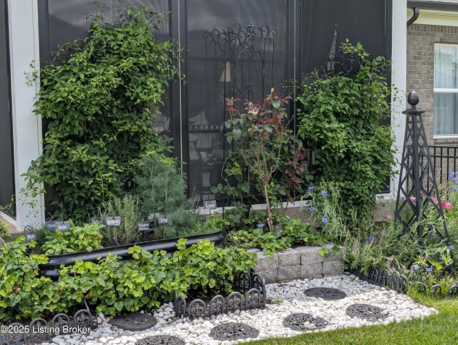 Listing Image 87