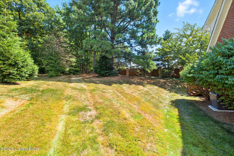 Listing Image 65