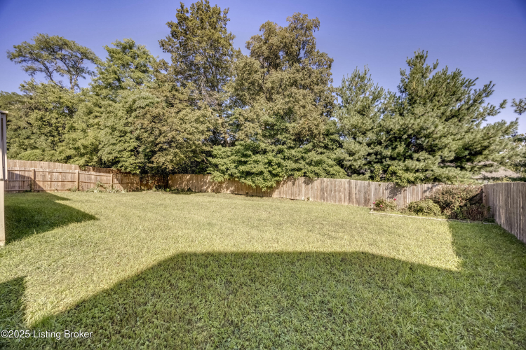 Listing Image 100