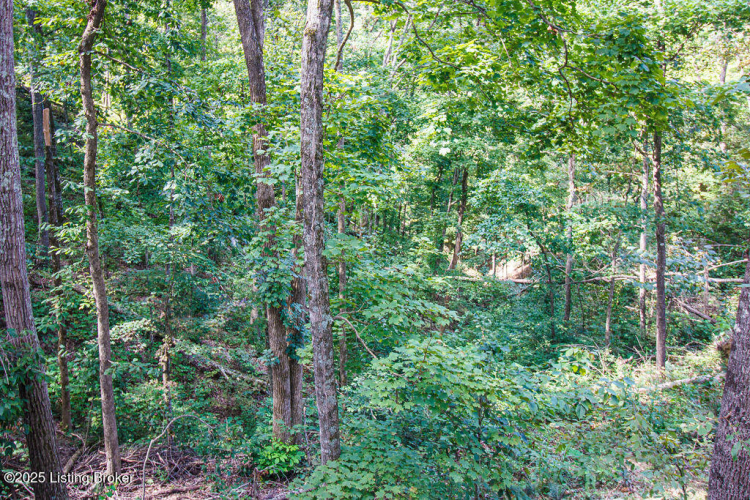 Listing Image 59