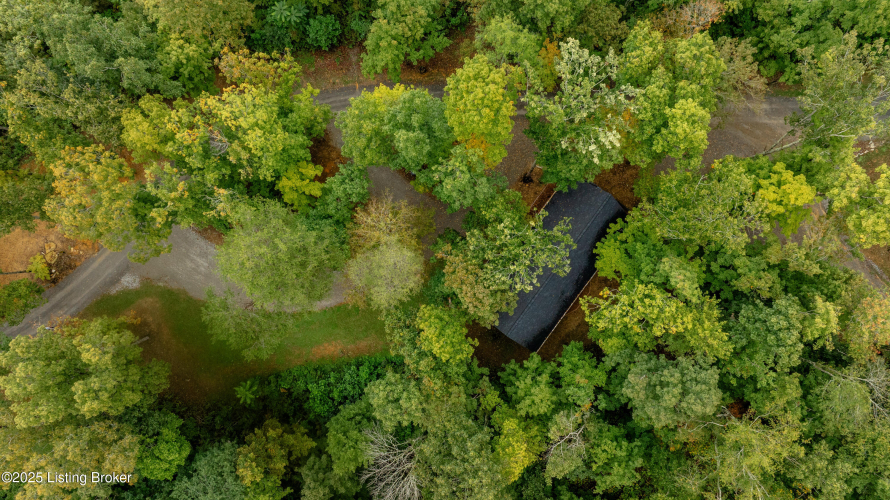 Listing Image 85