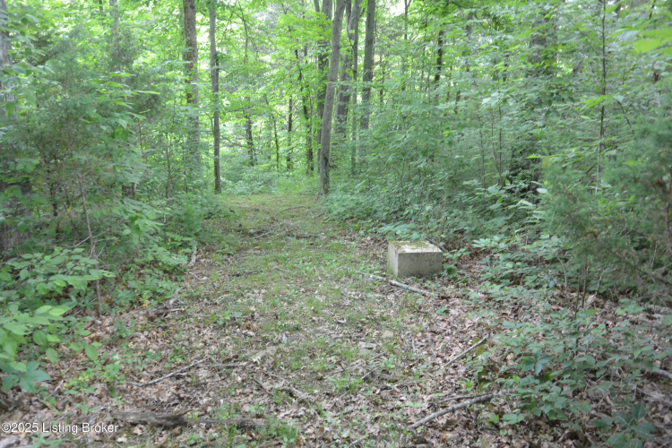 Listing Image 41