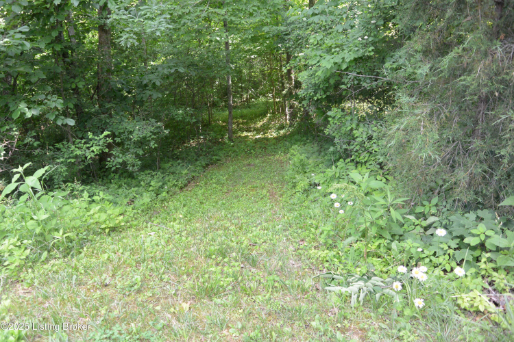 Listing Image 45