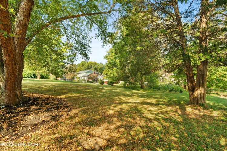 Listing Image 47