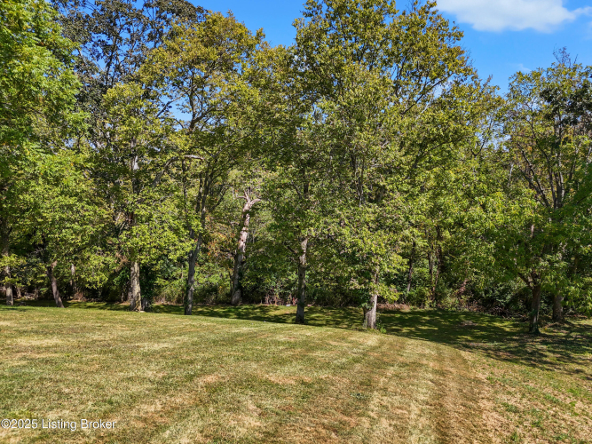 Listing Image 48