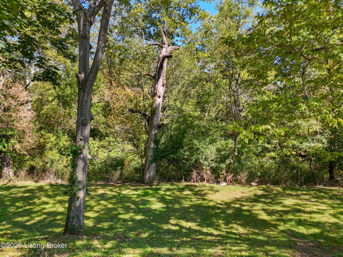 Listing Image 49