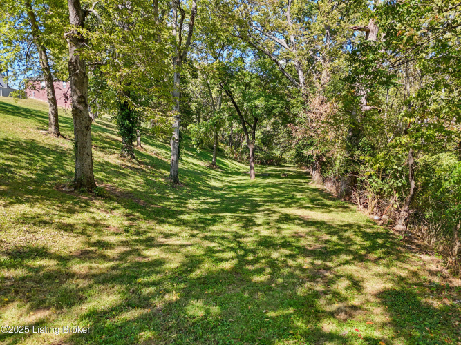 Listing Image 50