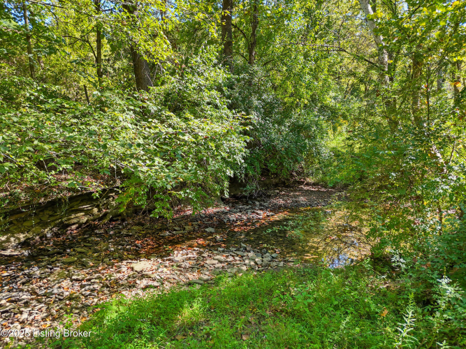 Listing Image 51