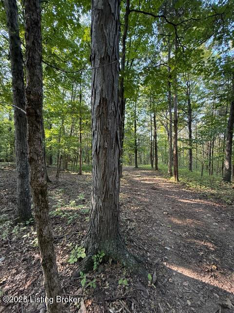 Listing Image 46