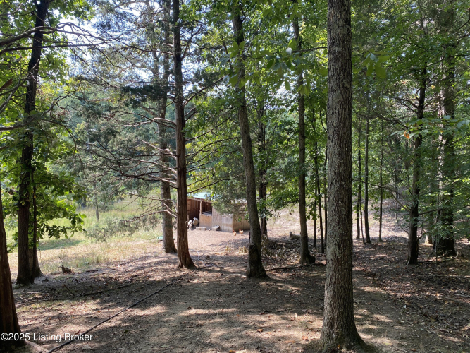 Listing Image 16