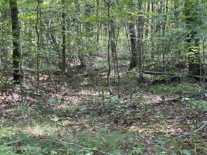 Listing Image 31