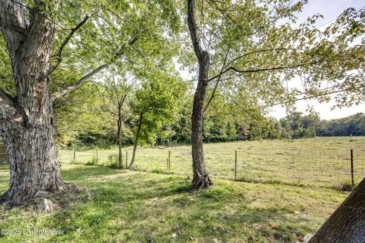 Listing Image 38