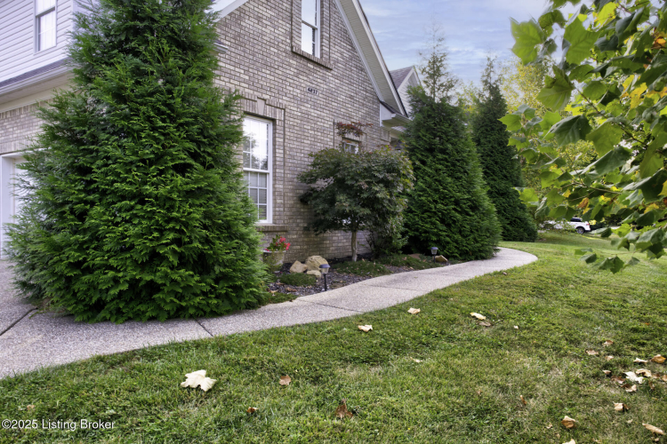 Listing Image 34