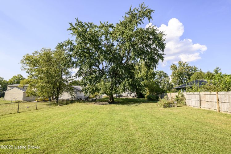 Listing Image 26