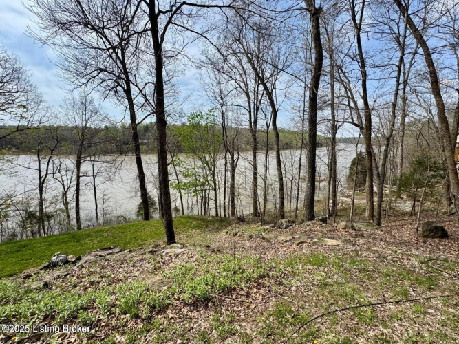 Listing Image 29