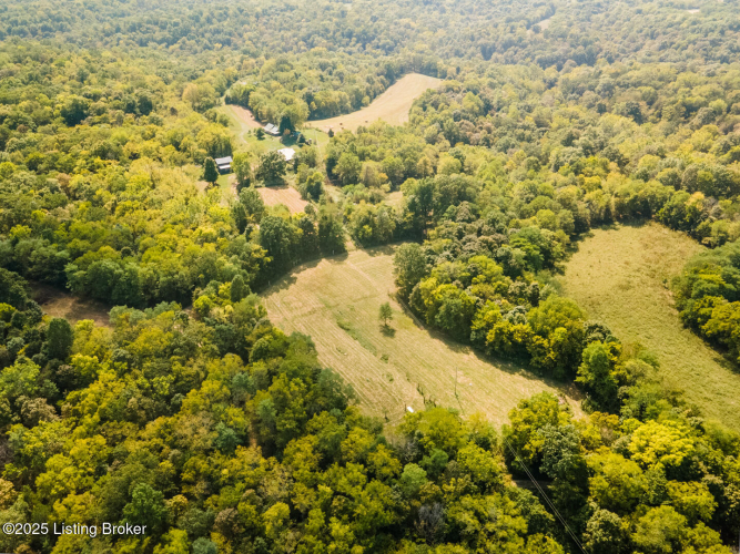 Listing Image 88