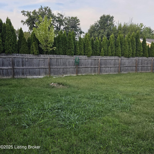 Listing Image 10
